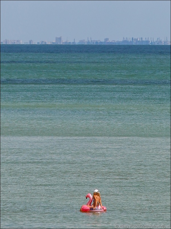 Фотографія Жанр / Alex Novik / photographers.ua