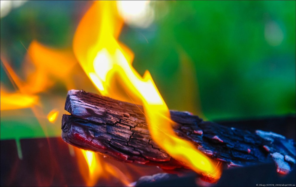 Фотографія Жанр / Alex Novik / photographers.ua