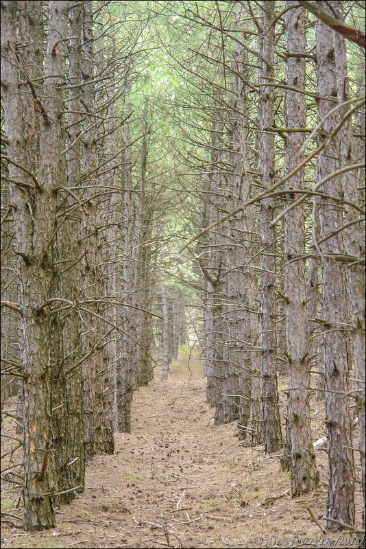 Фотографія Пейзаж / Alex Novik / photographers.ua