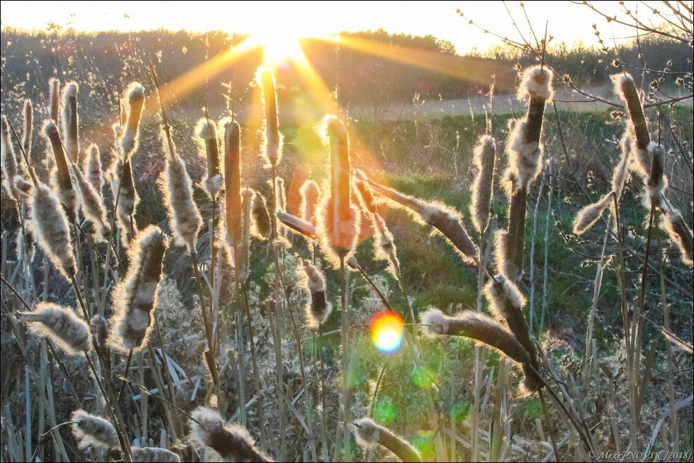 Фотографія Пейзаж / Alex Novik / photographers.ua