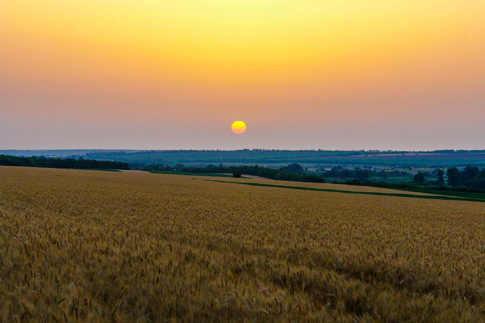Фотографія Рассвет в полях / Alex Novik / photographers.ua