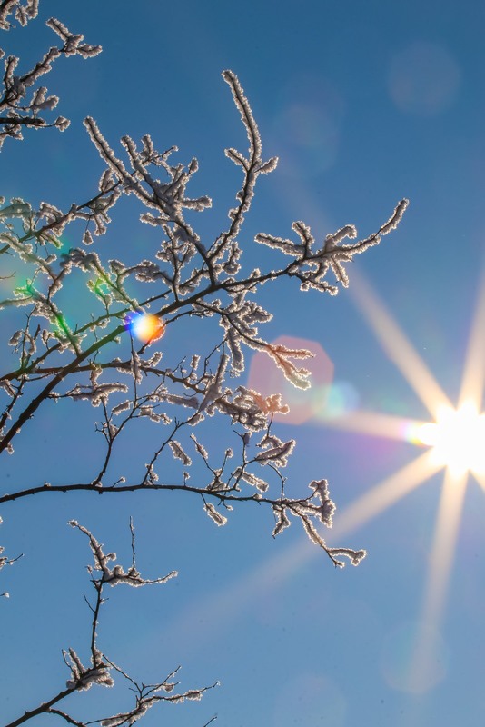 Фотографія Разное / Alex Novik / photographers.ua