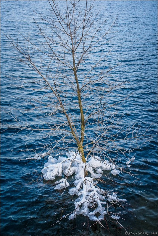 Фотографія Жанр / Alex Novik / photographers.ua