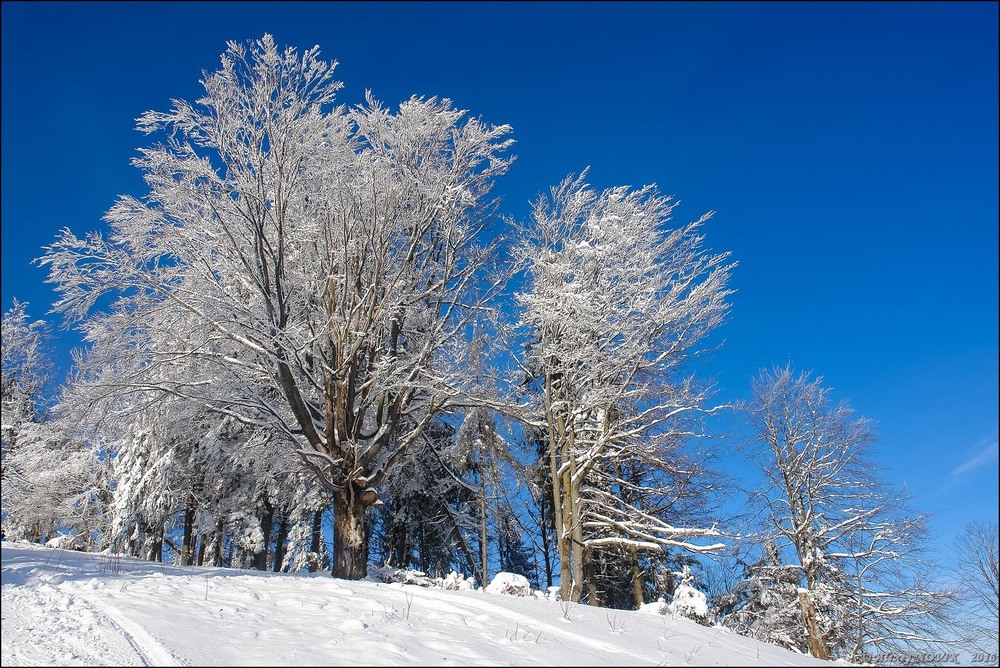 Фотографія Пейзаж / Alex Novik / photographers.ua