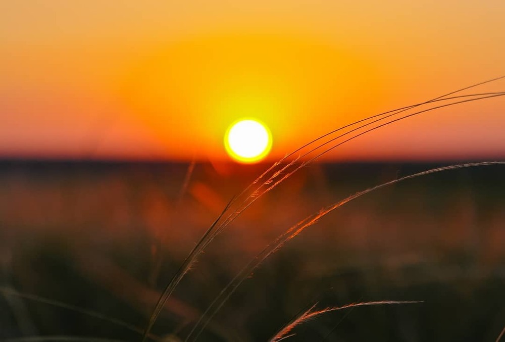 Фотографія Пейзаж / Alex Novik / photographers.ua