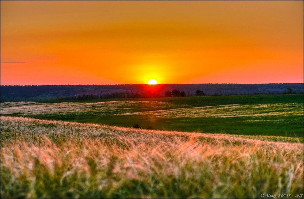 Фотографія Пейзаж / Alex Novik / photographers.ua