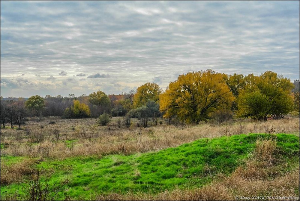 Фотографія Осень / Alex Novik / photographers.ua