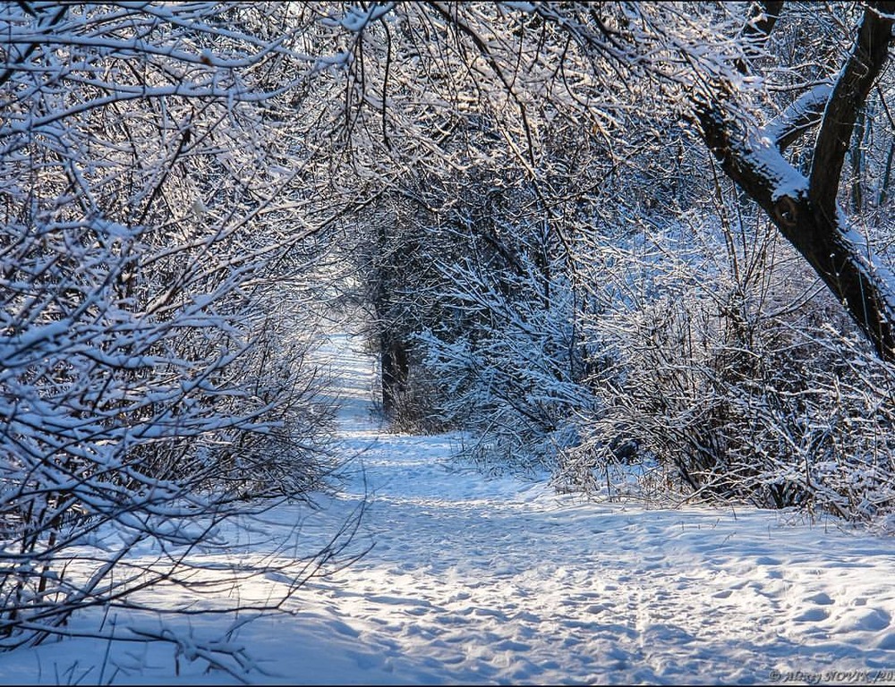 Фотографія Пейзаж / Alex Novik / photographers.ua