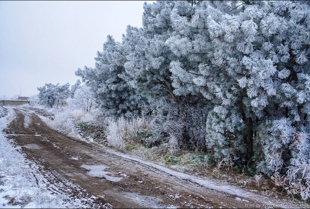 Фотографія Пейзаж / Alex Novik / photographers.ua