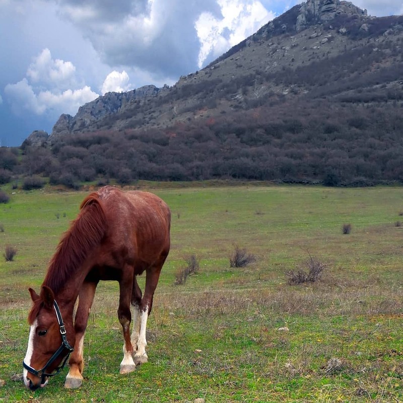 Фотографія Путешествие / Alex Novik / photographers.ua