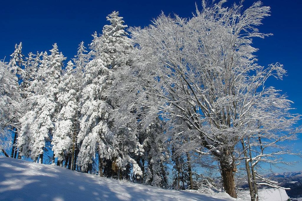 Фотографія Пейзаж / Alex Novik / photographers.ua