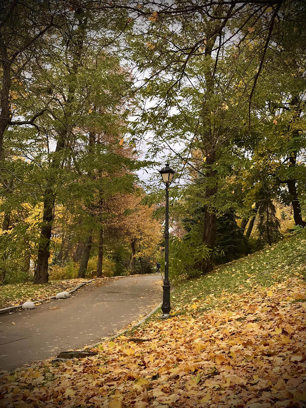 Фотографія Пейзаж / Alex Novik / photographers.ua