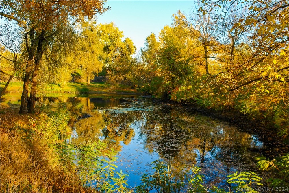 Фотографія Пейзаж / Alex Novik / photographers.ua