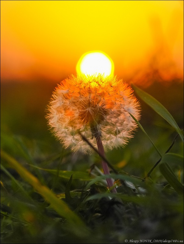 Фотографія Пейзаж / Alex Novik / photographers.ua