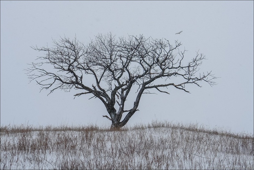 Фотографія Пейзаж / Alex Novik / photographers.ua