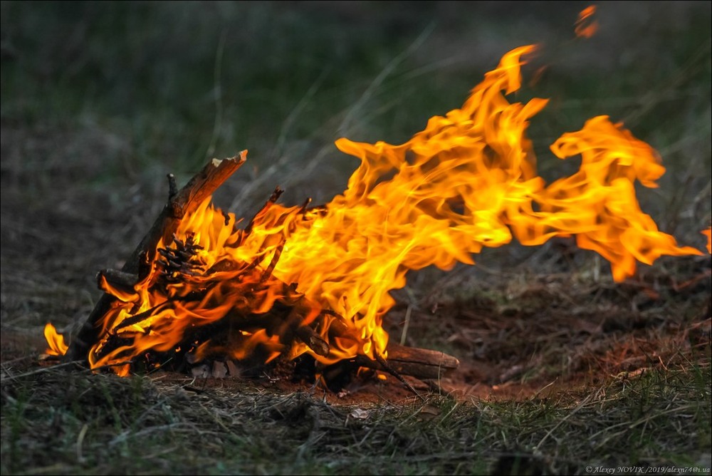 Фотографія Жанр / Alex Novik / photographers.ua