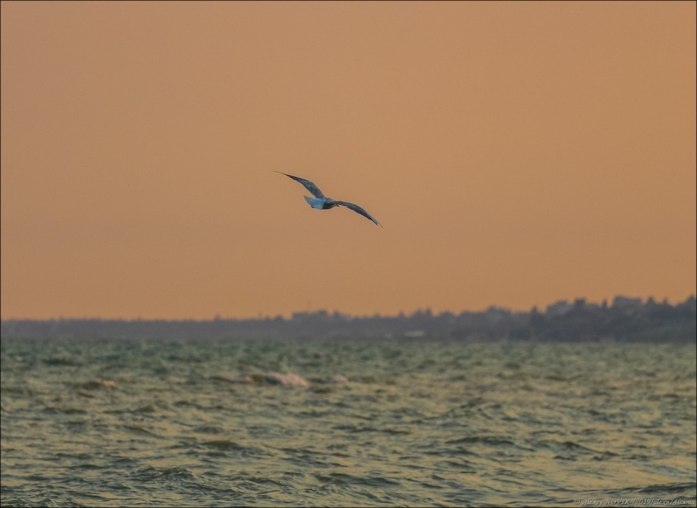 Фотографія Пейзаж / Alex Novik / photographers.ua