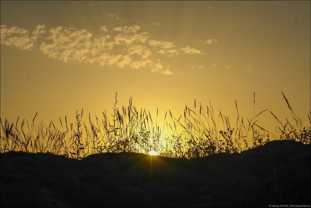 Фотографія Пейзаж / Alex Novik / photographers.ua