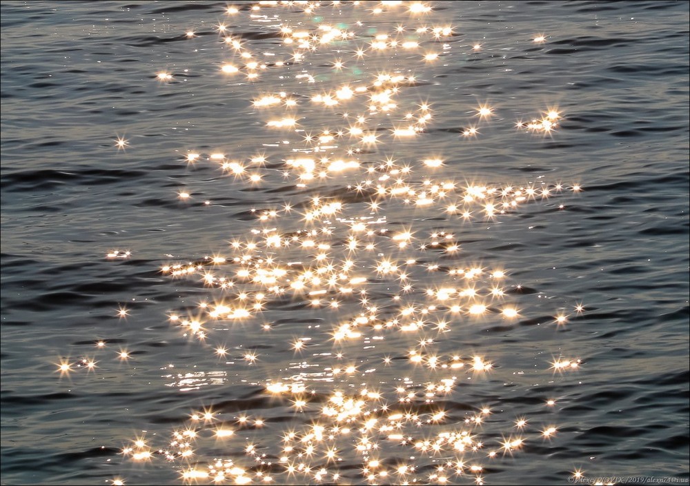 Фотографія Разное / Alex Novik / photographers.ua