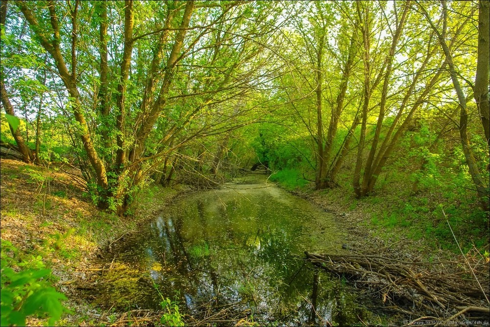 Фотографія Пейзаж / Alex Novik / photographers.ua