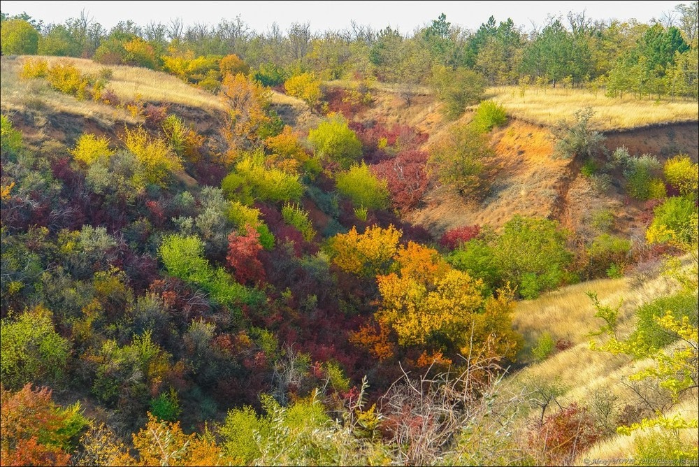 Фотографія Пейзаж / Alex Novik / photographers.ua