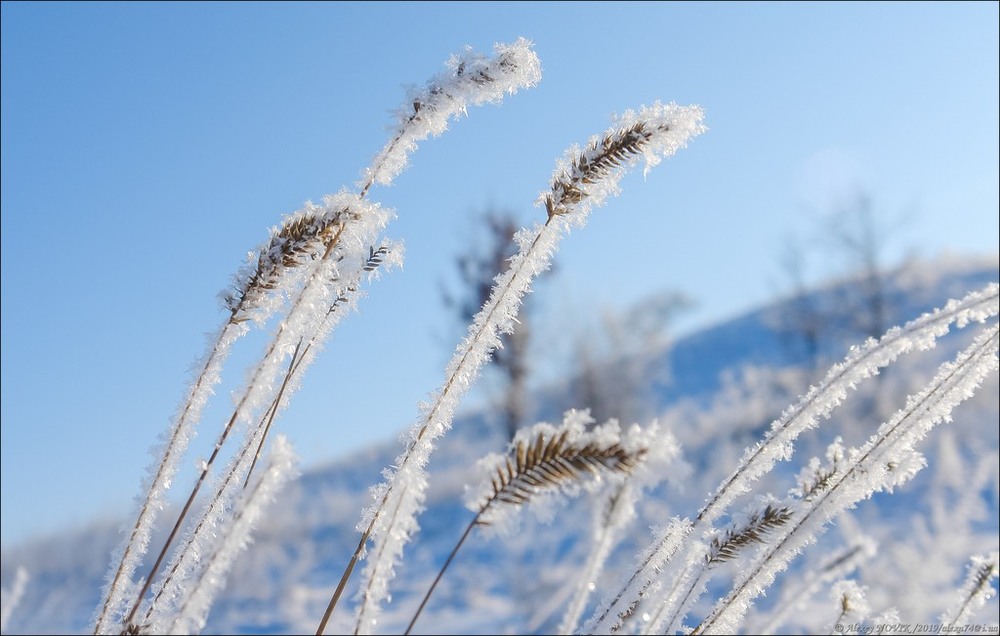 Фотографія Макро / Alex Novik / photographers.ua