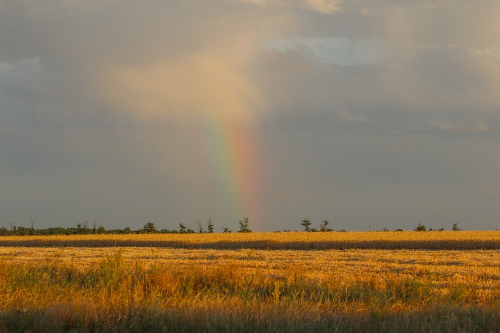 Фотографія Пейзаж / Alex Novik / photographers.ua