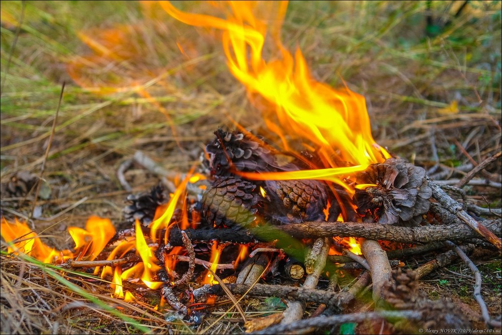 Фотографія Жанр / Alex Novik / photographers.ua