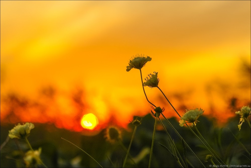 Фотографія Пейзаж / Alex Novik / photographers.ua