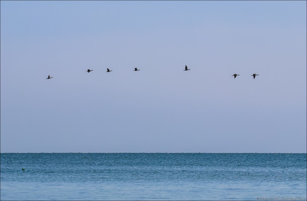 Фотографія Пейзаж / Alex Novik / photographers.ua