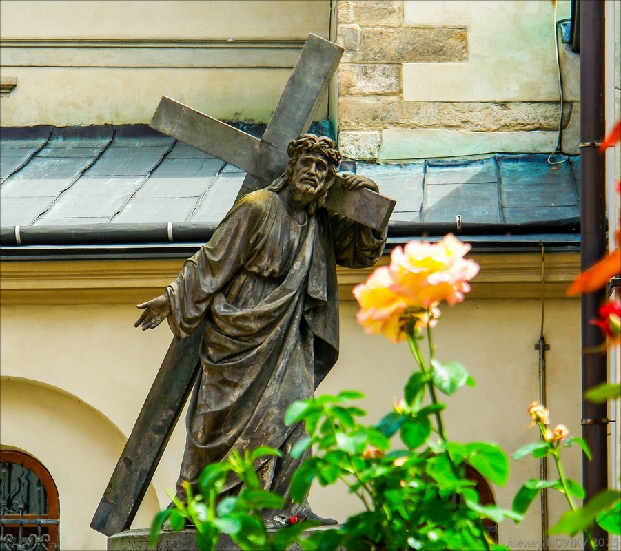 Фотографія Жанр / Alex Novik / photographers.ua