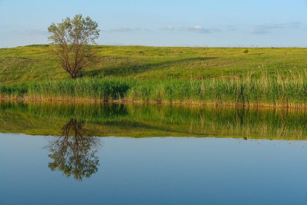Фотографія Идиллия / Alex Novik / photographers.ua