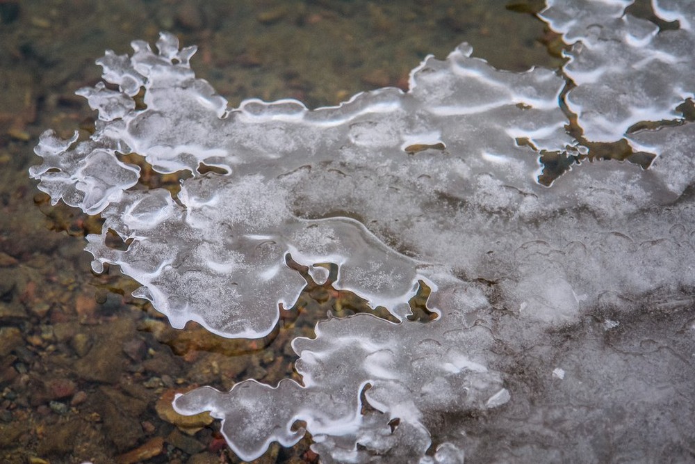 Фотографія Жанр / Alex Novik / photographers.ua