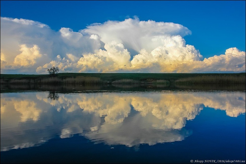 Фотографія Облака / Alex Novik / photographers.ua