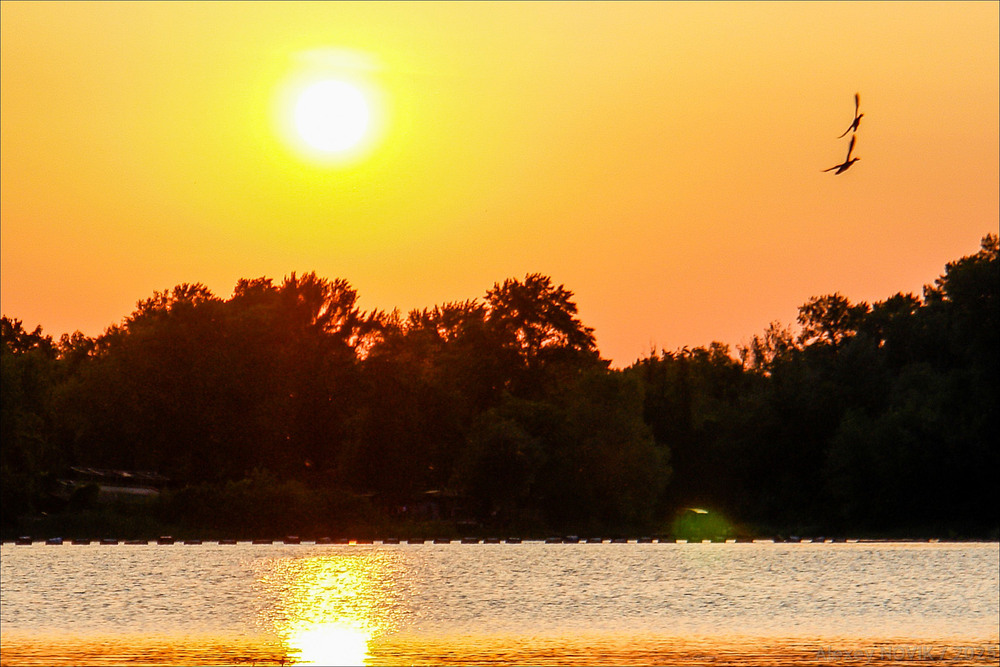 Фотографія Вечереет. И над озером летают утки / Alex Novik / photographers.ua