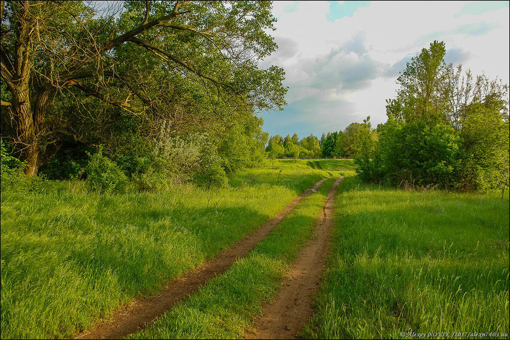 Фотографія Пейзаж / Alex Novik / photographers.ua