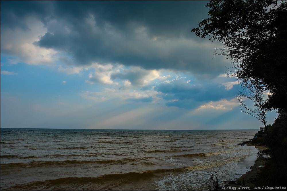 Фотографія Лучи / Alex Novik / photographers.ua