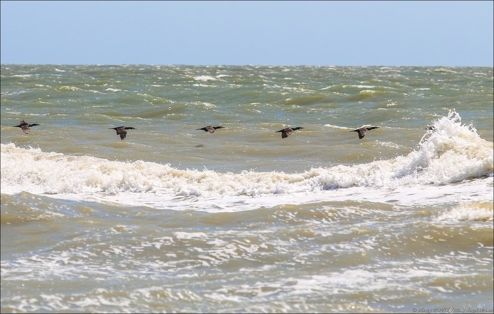 Фотографія Домой / Alex Novik / photographers.ua