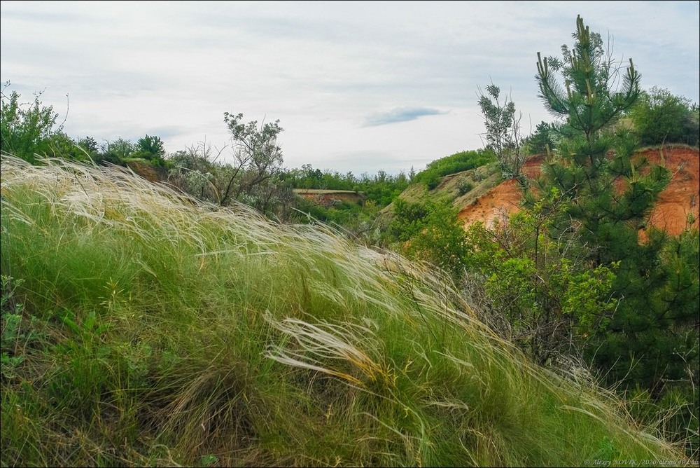 Фотографія Пейзаж / Alex Novik / photographers.ua