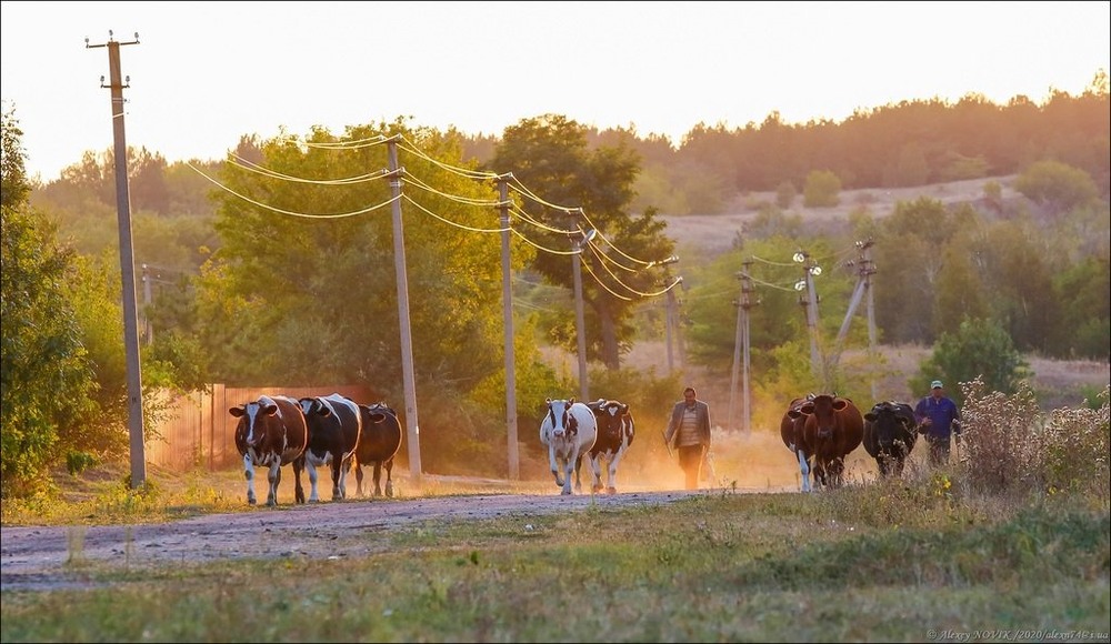 Фотографія Вечір / Alex Novik / photographers.ua