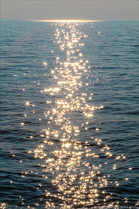 Фотографія звездное море / Alex Novik / photographers.ua