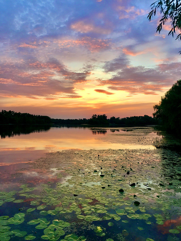 Фотографія Вечер накануне праздника Ивана Купала / Alex Novik / photographers.ua