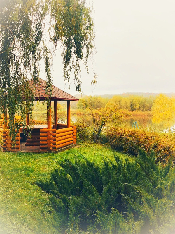 Фотографія Осень / Alex Novik / photographers.ua