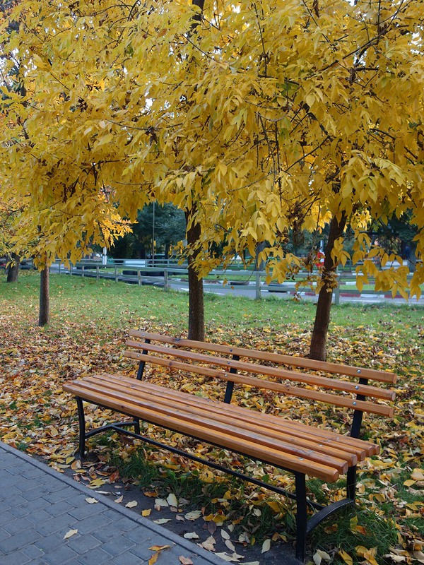 Фотографія Осень в парке ... / Игорь Грицюк / photographers.ua