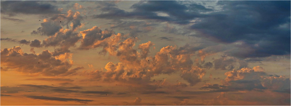 Фотографія Вечір. Небо. Надії. / Andrii Snehir / photographers.ua