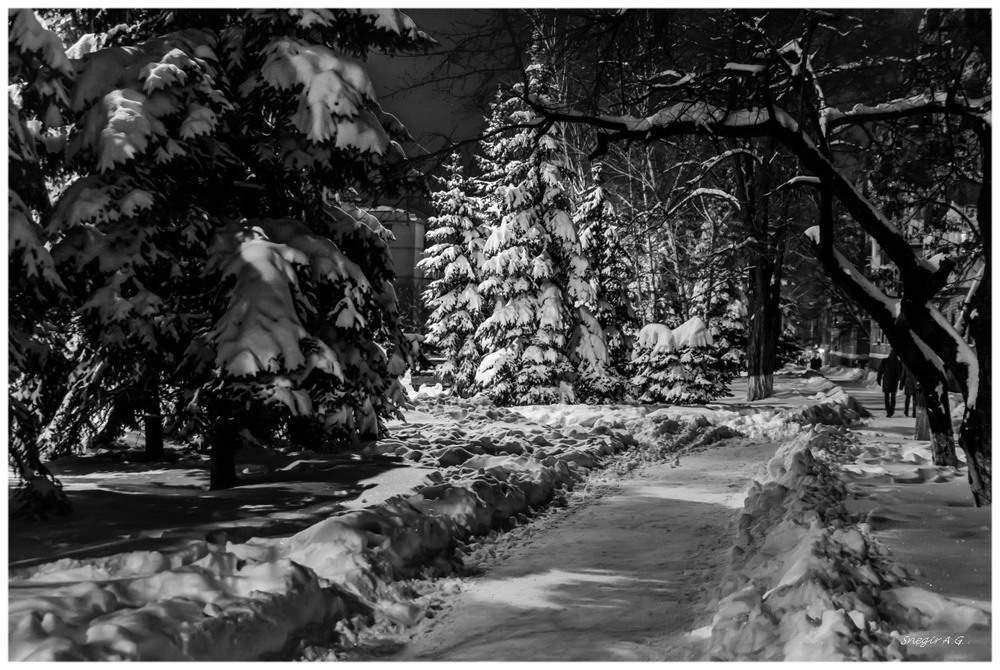 Фотографія Зима в городе / Andrii Snehir / photographers.ua