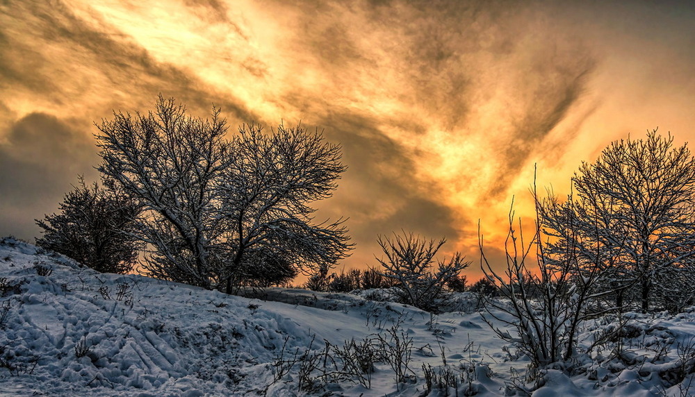 Фотографія Зима, що палає / Andrii Snehir / photographers.ua