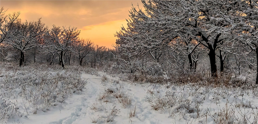 Фотографія Просто зима / Andrii Snehir / photographers.ua