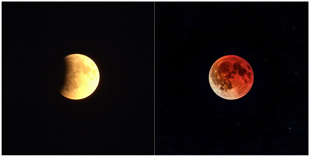 Фотографія 070925 / Andrii Snehir / photographers.ua