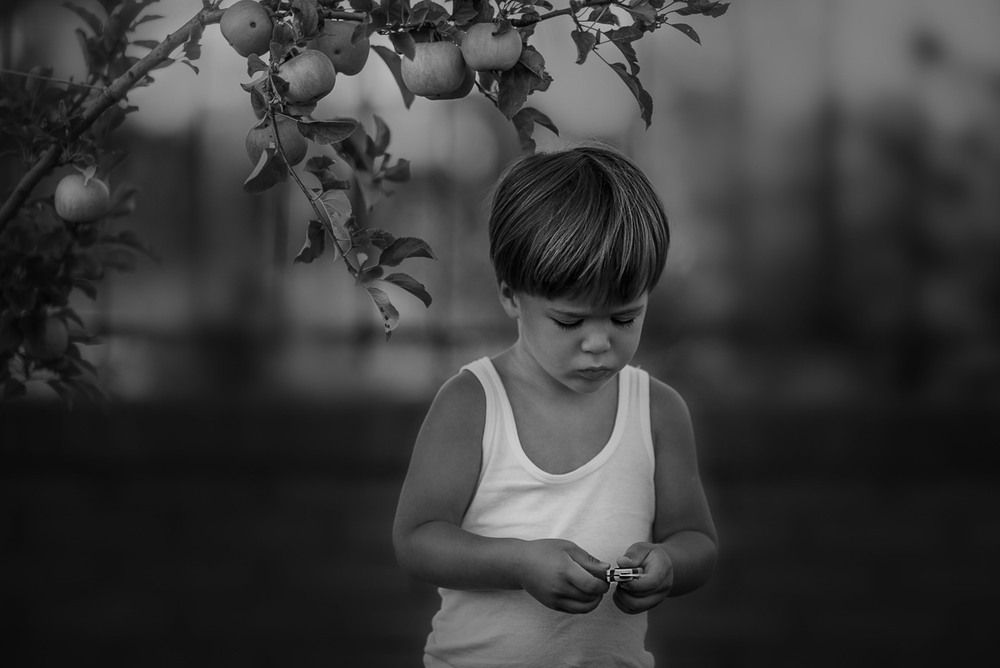 Фотографія Пора собирать яблоки / Anna Drobyazko / photographers.ua